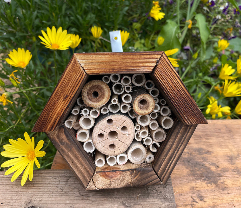The ABC's of Bees Gift Set, Bees, Pollinator