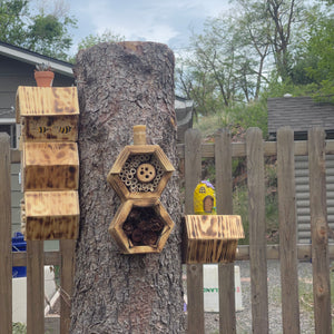 
                  
                    Load image into Gallery viewer, Native Bee House - Handmade
                  
                